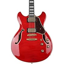 Amazon.com: Ibanez Artcore Expressionist AS93FM